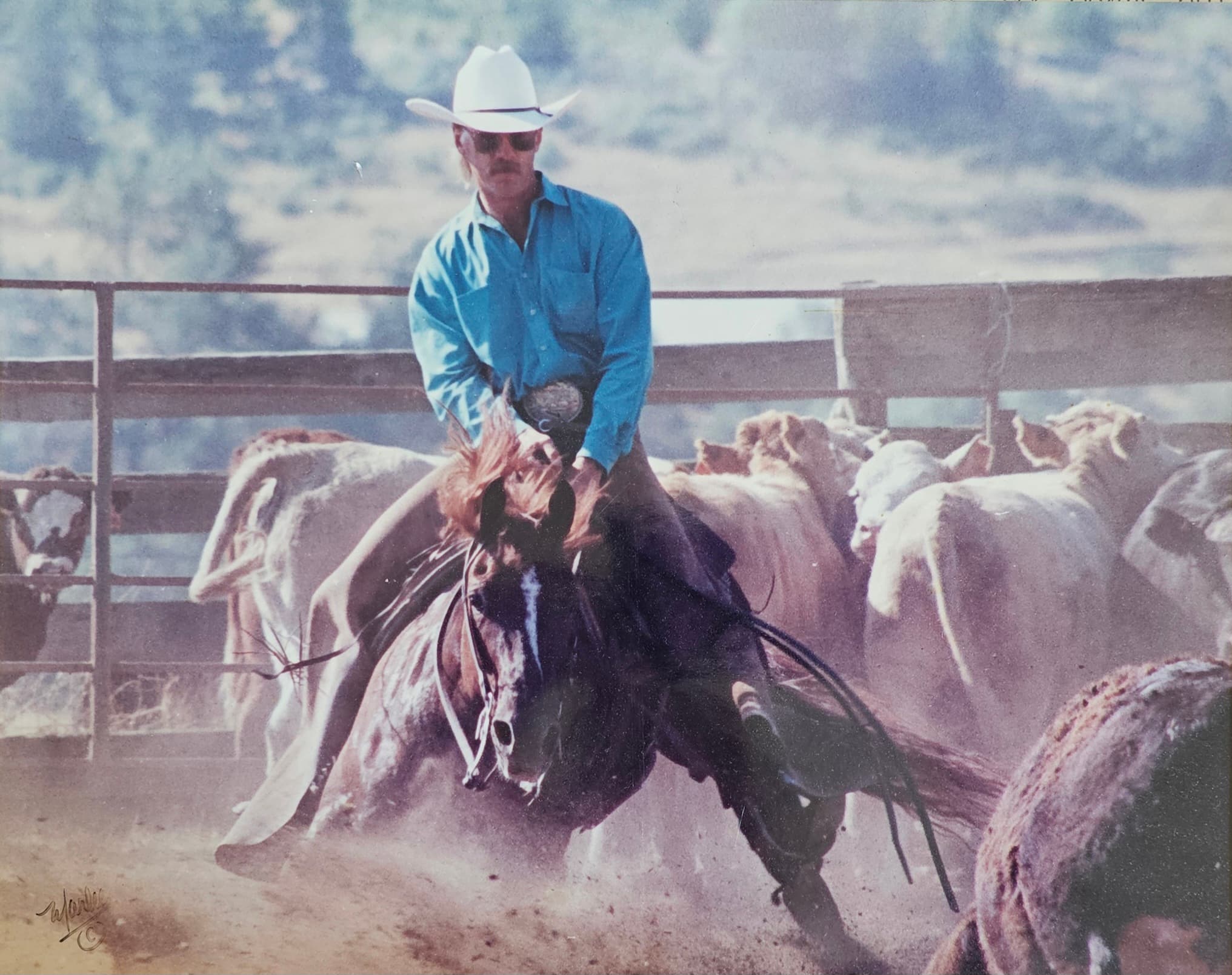 Don Hagglund on cutting horse