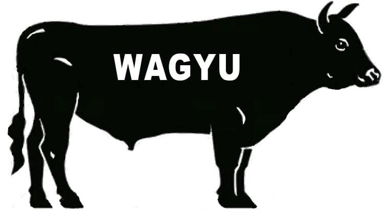 Rogue Land and Cattle Wagyu cattle logo