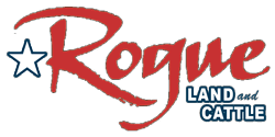 Rogue Land and Cattle has Wagyu cattle for sale in Wolfe City, Texas.