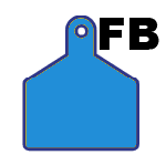 Blue cow id tag for full blood wagyu cattle.